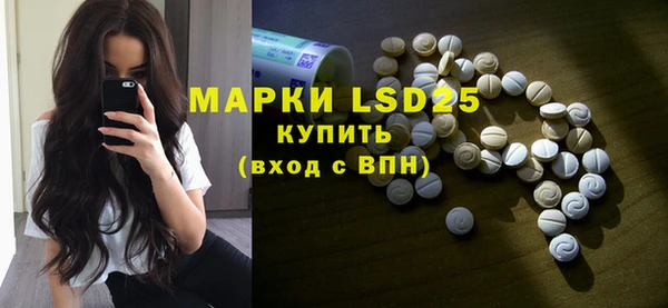 шишки Инта