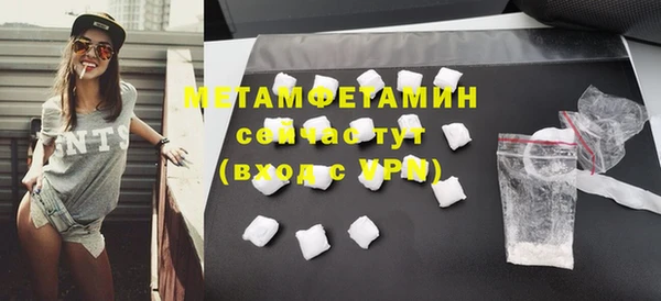 шишки Инта