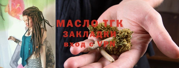 шишки Инта