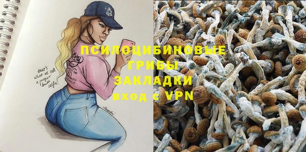 шишки Инта