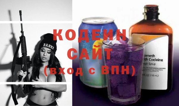 шишки Инта