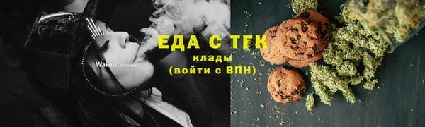 шишки Инта
