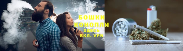 шишки Инта