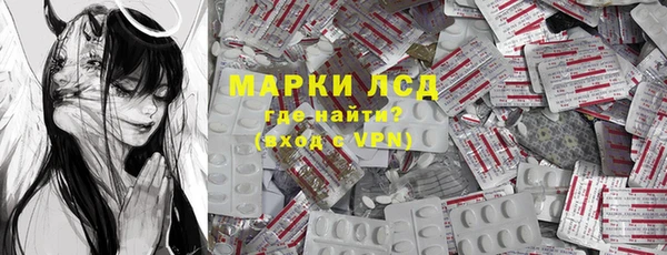 шишки Инта