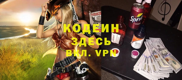шишки Инта