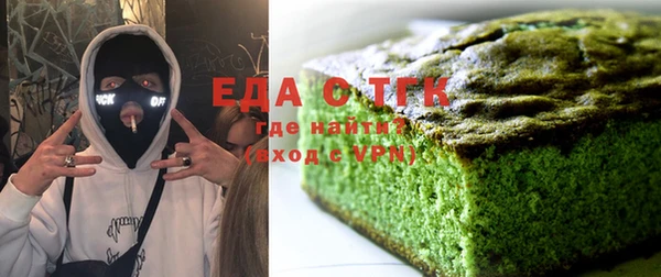 шишки Инта
