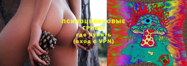 шишки Инта