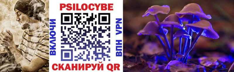 Купить закладки  Белово  Галлюциногенные грибы Cubensis 
